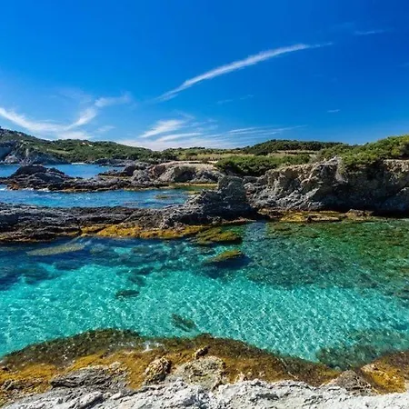 Vacances Ideales Limite Sanary Sur Mer !! Logement Partage Shared Apartment Ollioules